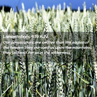 Picture 02 - Lamentations 4:19 KJV - Our persecutors are swifter than the eagles of - Bible Verse Picture