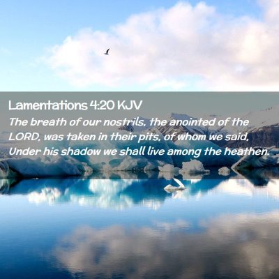 Picture 02 - Lamentations 4:20 KJV - The breath of our nostrils, the anointed of the - Bible Verse Picture