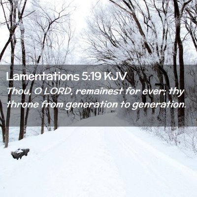 Picture 02 - Lamentations 5:19 KJV - Thou, O LORD, remainest for ever; thy throne from - Bible Verse Picture