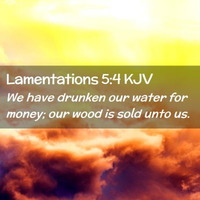 Picture 02 - Lamentations 5:4 KJV - We have drunken our water for money; our wood is - Bible Verse Picture