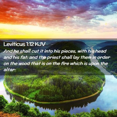 Picture 02 - Leviticus 1:12 KJV - And he shall cut it into his pieces, with his - Bible Verse Picture