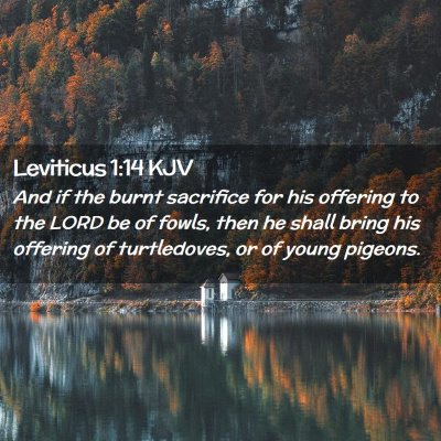 Picture 02 - Leviticus 1:14 KJV - And if the burnt sacrifice for his offering to - Bible Verse Picture
