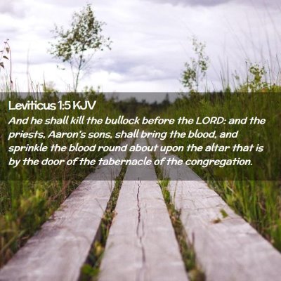Picture 02 - Leviticus 1:5 KJV - And he shall kill the bullock before the LORD: - Bible Verse Picture