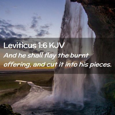 Picture 02 - Leviticus 1:6 KJV - And he shall flay the burnt offering, and cut it - Bible Verse Picture