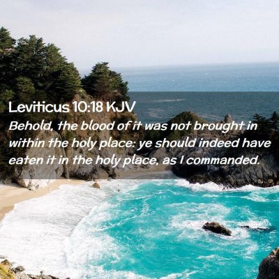 Picture 02 - Leviticus 10:18 KJV - Behold, the blood of it was not brought in within - Bible Verse Picture