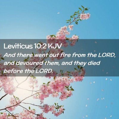 Picture 02 - Leviticus 10:2 KJV - And there went out fire from the LORD, and - Bible Verse Picture