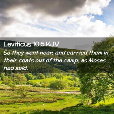 Picture 02 - Leviticus 10:5 KJV - So they went near, and carried them in their - Bible Verse Picture