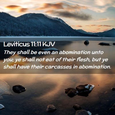 Picture 02 - Leviticus 11:11 KJV - They shall be even an abomination unto you; ye - Bible Verse Picture