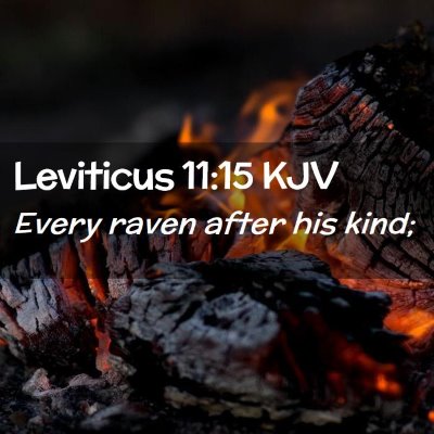 Picture 02 - Leviticus 11:15 KJV - Every raven after his - Bible Verse Picture