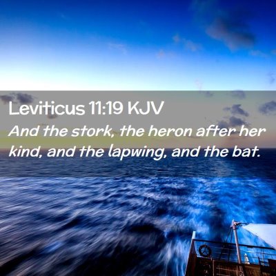 Picture 02 - Leviticus 11:19 KJV - And the stork, the heron after her kind, and the - Bible Verse Picture