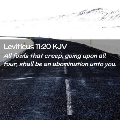 Picture 02 - Leviticus 11:20 KJV - All fowls that creep, going upon all four, shall - Bible Verse Picture