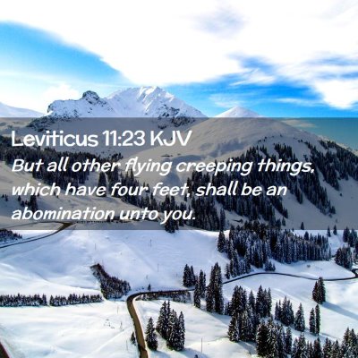 Picture 02 - Leviticus 11:23 KJV - But all other flying creeping things, which have - Bible Verse Picture