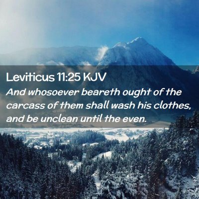 Picture 02 - Leviticus 11:25 KJV - And whosoever beareth ought of the carcass of - Bible Verse Picture