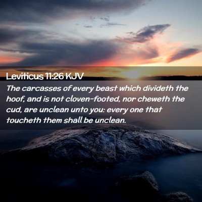 Picture 02 - Leviticus 11:26 KJV - The carcasses of every beast which divideth the - Bible Verse Picture