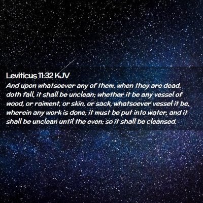 Picture 02 - Leviticus 11:32 KJV - And upon whatsoever any of them, when they are - Bible Verse Picture