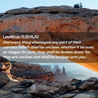 Picture 02 - Leviticus 11:35 KJV - And every thing whereupon any part of their - Bible Verse Picture