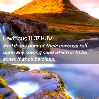 Picture 02 - Leviticus 11:37 KJV - And if any part of their carcass fall upon any - Bible Verse Picture