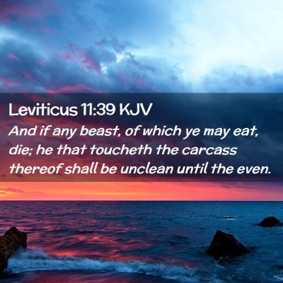 Picture 02 - Leviticus 11:39 KJV - And if any beast, of which ye may eat, die; he - Bible Verse Picture