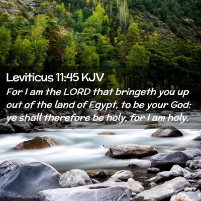 Picture 02 - Leviticus 11:45 KJV - For I am the LORD that bringeth you up out of the - Bible Verse Picture