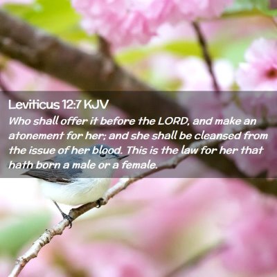Picture 02 - Leviticus 12:7 KJV - Who shall offer it before the LORD, and make an - Bible Verse Picture