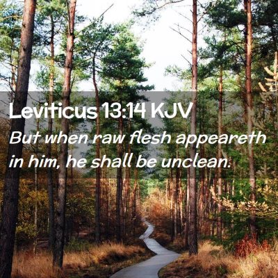 Picture 02 - Leviticus 13:14 KJV - But when raw flesh appeareth in him, he shall be - Bible Verse Picture