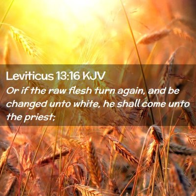Picture 02 - Leviticus 13:16 KJV - Or if the raw flesh turn again, and be changed - Bible Verse Picture