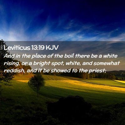 Picture 02 - Leviticus 13:19 KJV - And in the place of the boil there be a white - Bible Verse Picture