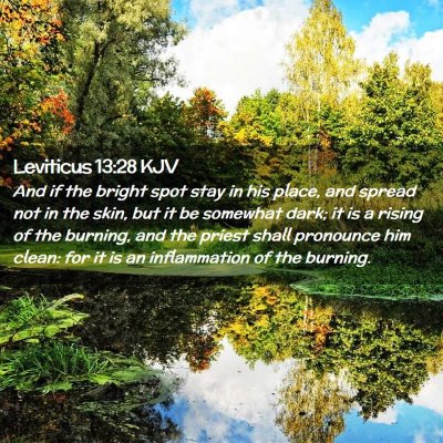 Picture 02 - Leviticus 13:28 KJV - And if the bright spot stay in his place, and - Bible Verse Picture