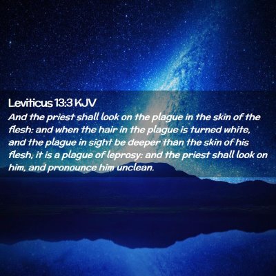 Picture 02 - Leviticus 13:3 KJV - And the priest shall look on the plague in the - Bible Verse Picture
