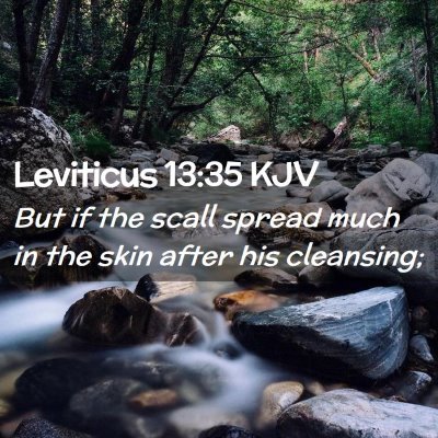 Picture 02 - Leviticus 13:35 KJV - But if the scall spread much in the skin after - Bible Verse Picture