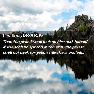 Picture 02 - Leviticus 13:36 KJV - Then the priest shall look on him: and, behold, - Bible Verse Picture