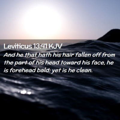 Picture 02 - Leviticus 13:41 KJV - And he that hath his hair fallen off from the - Bible Verse Picture