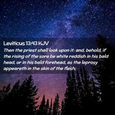 Picture 02 - Leviticus 13:43 KJV - Then the priest shall look upon it: and, behold, - Bible Verse Picture