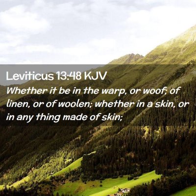 Picture 02 - Leviticus 13:48 KJV - Whether it be in the warp, or woof; of linen, or - Bible Verse Picture