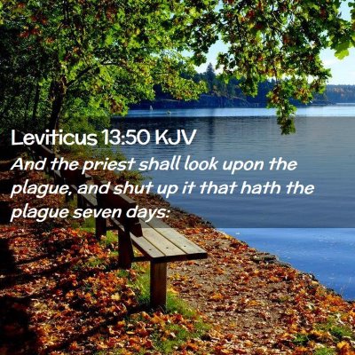 Picture 02 - Leviticus 13:50 KJV - And the priest shall look upon the plague, and - Bible Verse Picture