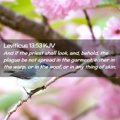Picture 02 - Leviticus 13:53 KJV - And if the priest shall look, and, behold, the - Bible Verse Picture