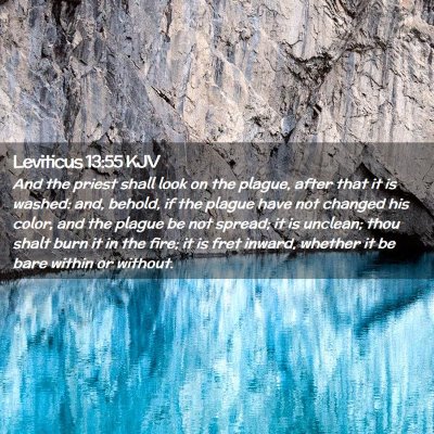 Picture 02 - Leviticus 13:55 KJV - And the priest shall look on the plague, after - Bible Verse Picture