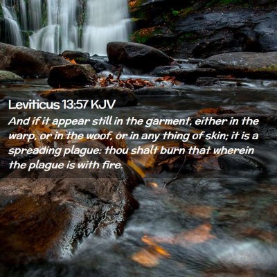 Picture 02 - Leviticus 13:57 KJV - And if it appear still in the garment, either in - Bible Verse Picture