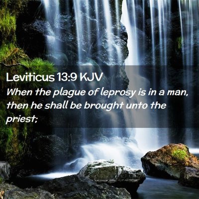 Picture 02 - Leviticus 13:9 KJV - When the plague of leprosy is in a man, then he - Bible Verse Picture