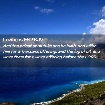 Picture 02 - Leviticus 14:12 KJV - And the priest shall take one he lamb, and offer - Bible Verse Picture