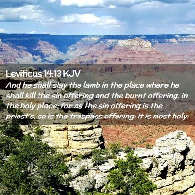 Picture 02 - Leviticus 14:13 KJV - And he shall slay the lamb in the place where he - Bible Verse Picture