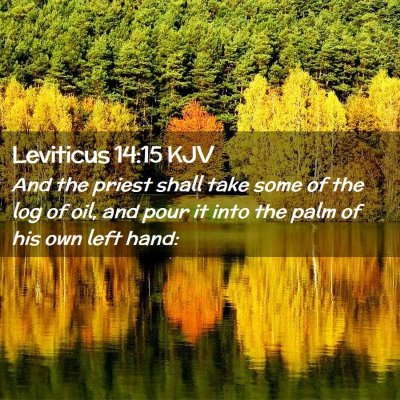 Picture 02 - Leviticus 14:15 KJV - And the priest shall take some of the log of oil, - Bible Verse Picture