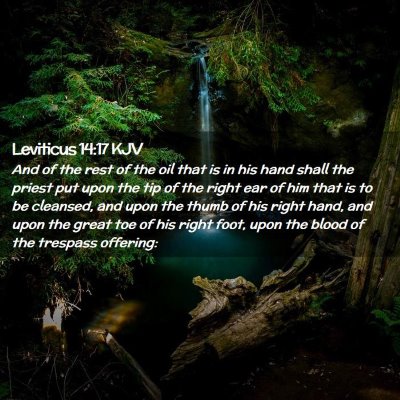 Picture 02 - Leviticus 14:17 KJV - And of the rest of the oil that is in his hand - Bible Verse Picture