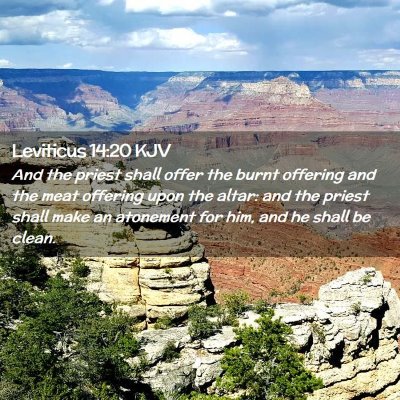 Picture 02 - Leviticus 14:20 KJV - And the priest shall offer the burnt offering and - Bible Verse Picture