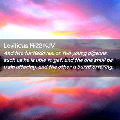 Picture 02 - Leviticus 14:22 KJV - And two turtledoves, or two young pigeons, such - Bible Verse Picture
