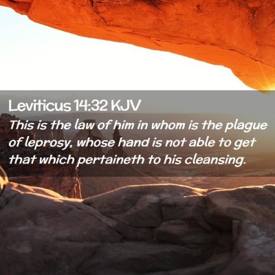Picture 02 - Leviticus 14:32 KJV - This is the law of him in whom is the plague of - Bible Verse Picture