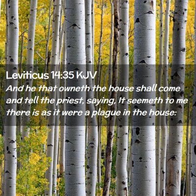 Picture 02 - Leviticus 14:35 KJV - And he that owneth the house shall come and tell - Bible Verse Picture