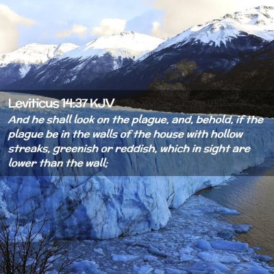 Picture 02 - Leviticus 14:37 KJV - And he shall look on the plague, and, behold, if - Bible Verse Picture