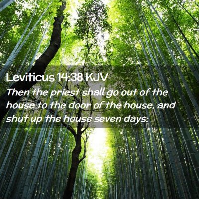 Picture 02 - Leviticus 14:38 KJV - Then the priest shall go out of the house to the - Bible Verse Picture