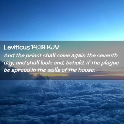Picture 02 - Leviticus 14:39 KJV - And the priest shall come again the seventh day, - Bible Verse Picture